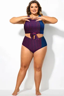 Plus Size Colorblock Check...